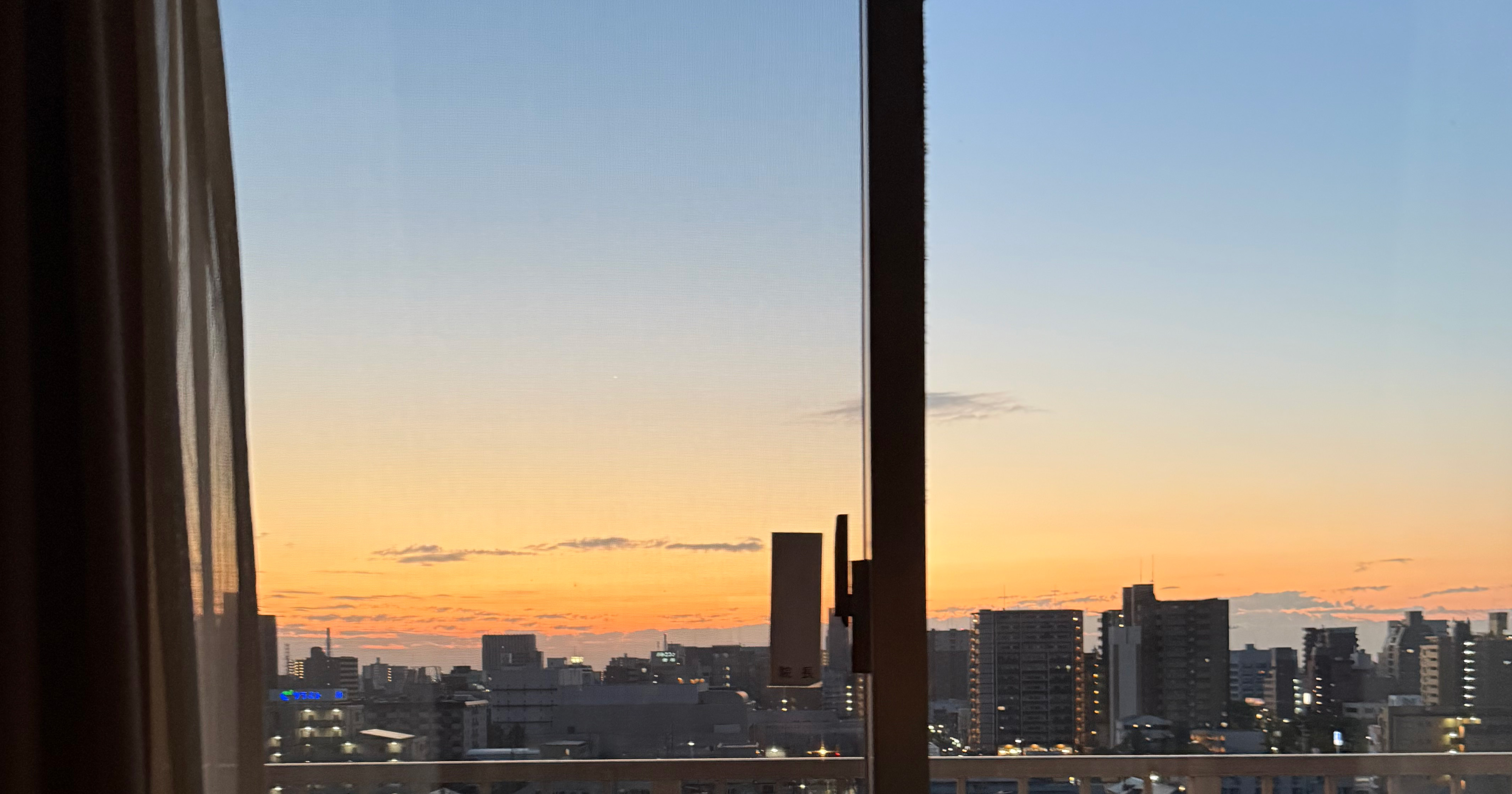 【熱性痙攣で入院②】退院後の検査とその結果